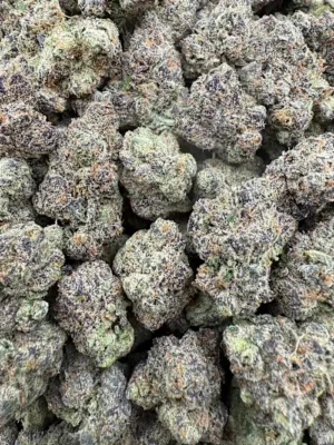 Ursa Major Strain