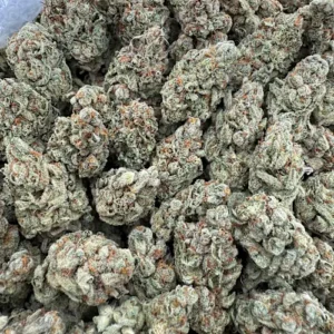 Zashimi Strain