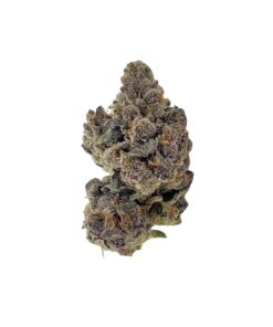Blue Poison Marijuana Strain