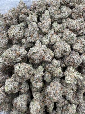 Blue Rhino  LICENSED EXOTIC