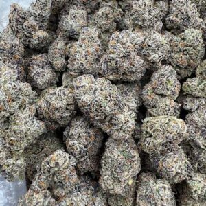 Fruit Loops  LICENSED EXOTIC