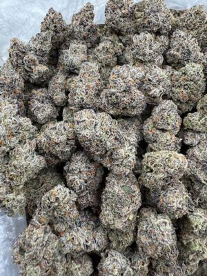 Fruit Loops  LICENSED EXOTIC