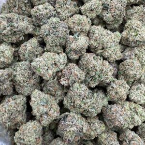 Candy Apple med  INDOOR MEDS/SM