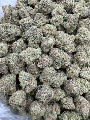 Candy Apple med  INDOOR MEDS/SM