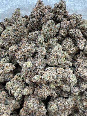 Banana Mac  INDOOR BIGS