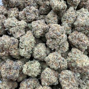 Purple Uzi Indoor bigs