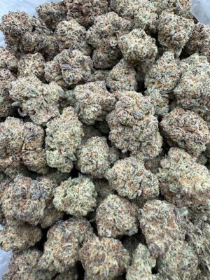 Purple Uzi Indoor bigs