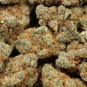 9 Pound Hammer Strain