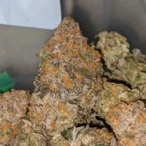 ORANGE KOOL AID STRAIN