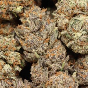 watermelon zlushie strain