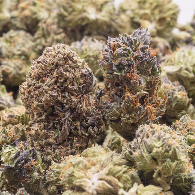 PURPLE AFGHANI STRAIN